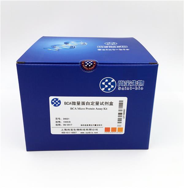 BCA微量蛋白定量试剂盒